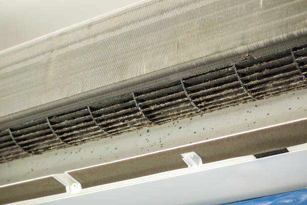 Best HVAC System Cleaning  in Mclean, TX
